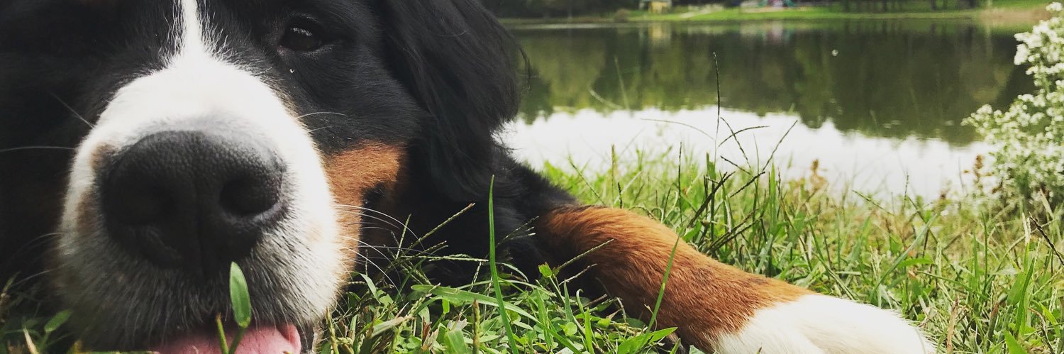 Alotta_BS's profile banner image