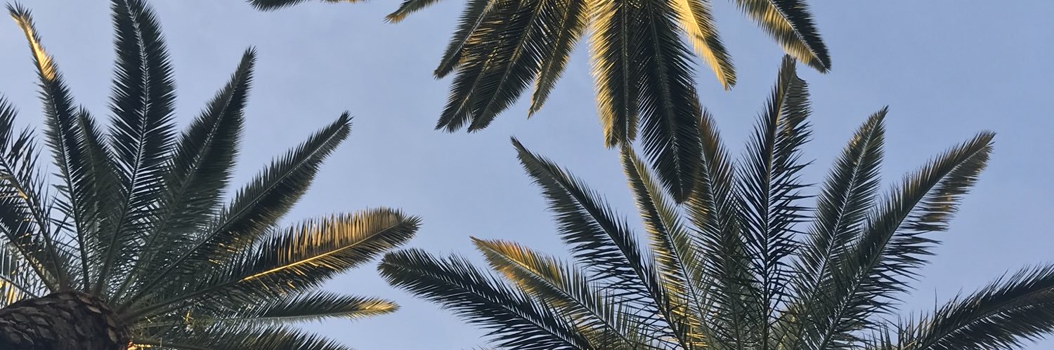 collinmccann5's profile banner image