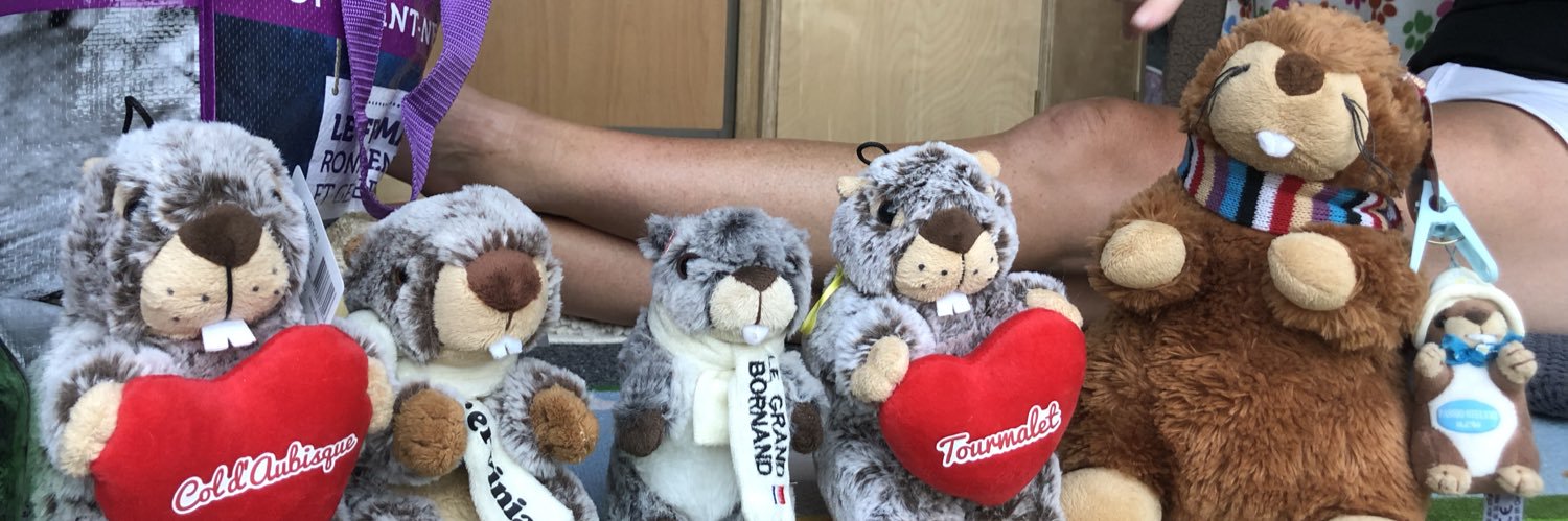 laineythomo's profile banner image