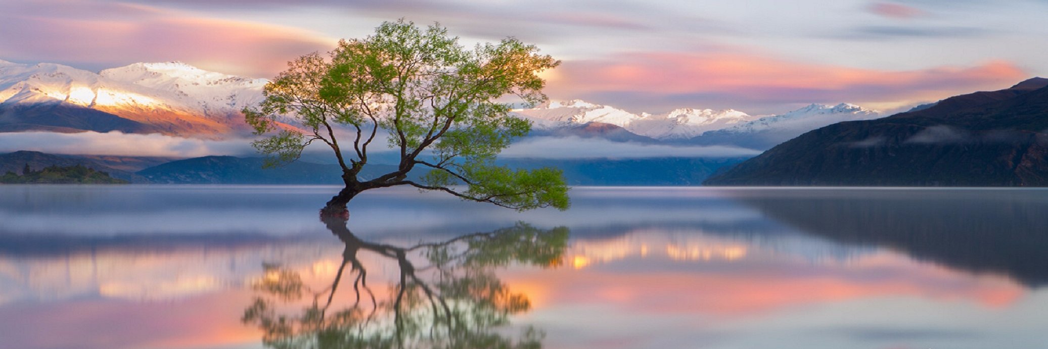 osxanalyst's profile banner image