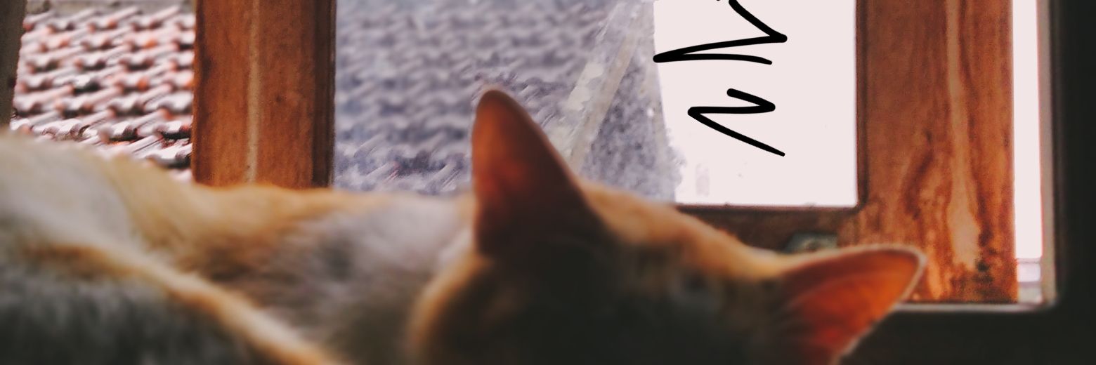 PeAsan's banner
