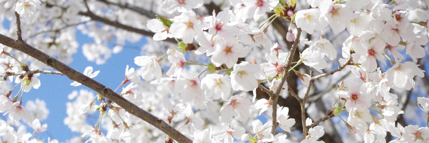 AOKI_JIN's profile banner image