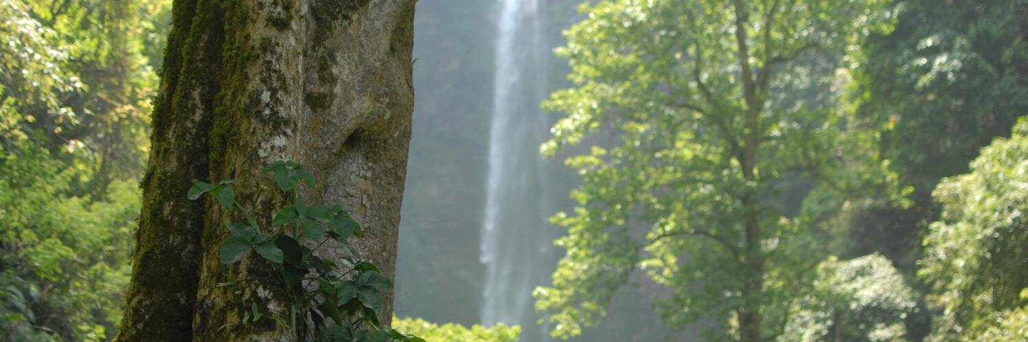 isnanku's profile banner image