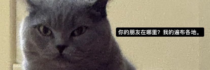 Sprigatote BLOOD MOON ERA banner