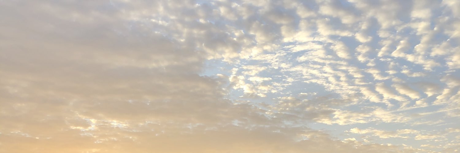 Peppervitt 🪬 banner