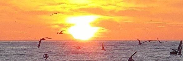 snmk48's profile banner image