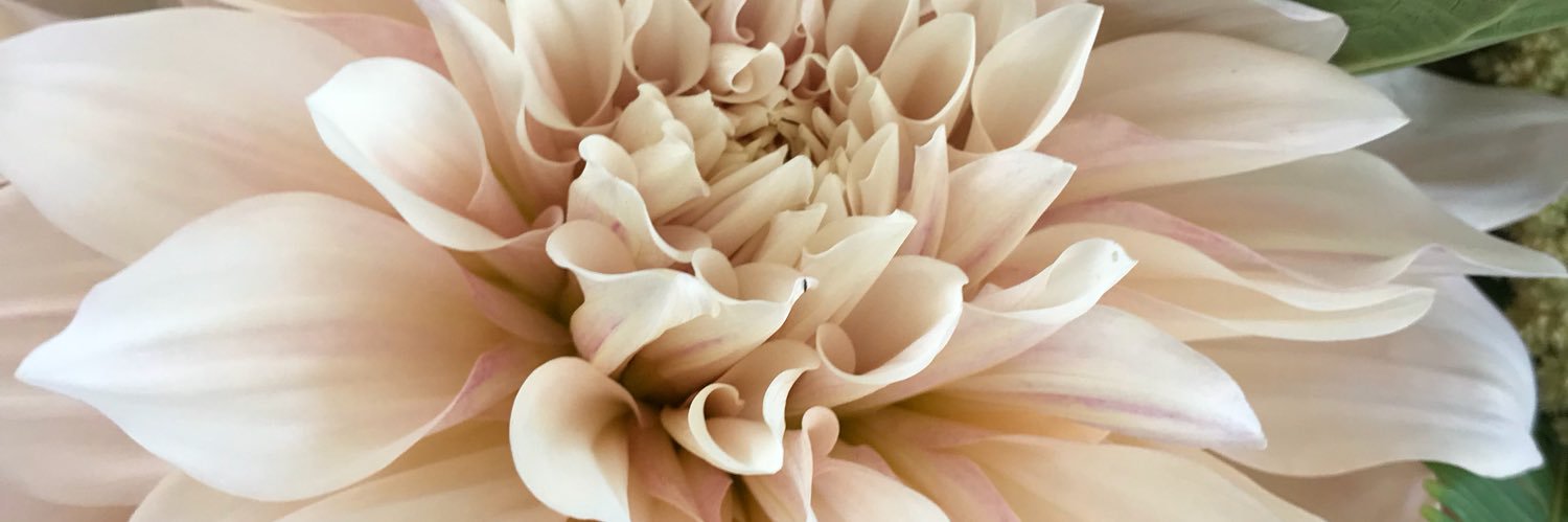 Martinbax's profile banner image