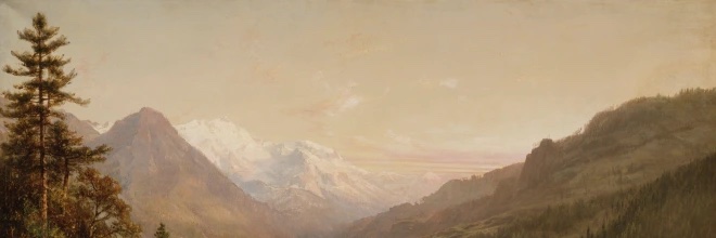 Altisidora banner