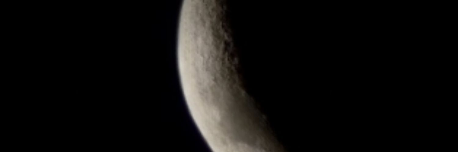 Renan_Pelisson's profile banner image
