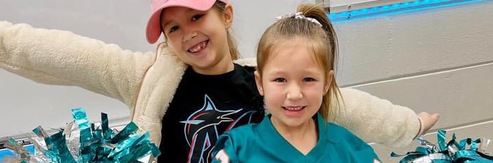 Mike Ferguson banner