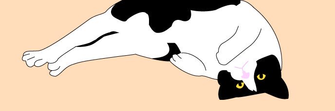 8eb0p's profile banner image
