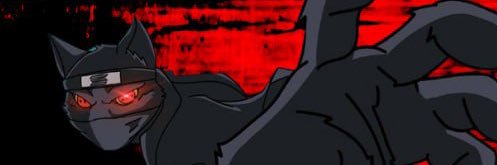 ARSONIST $NC 🥷's banner