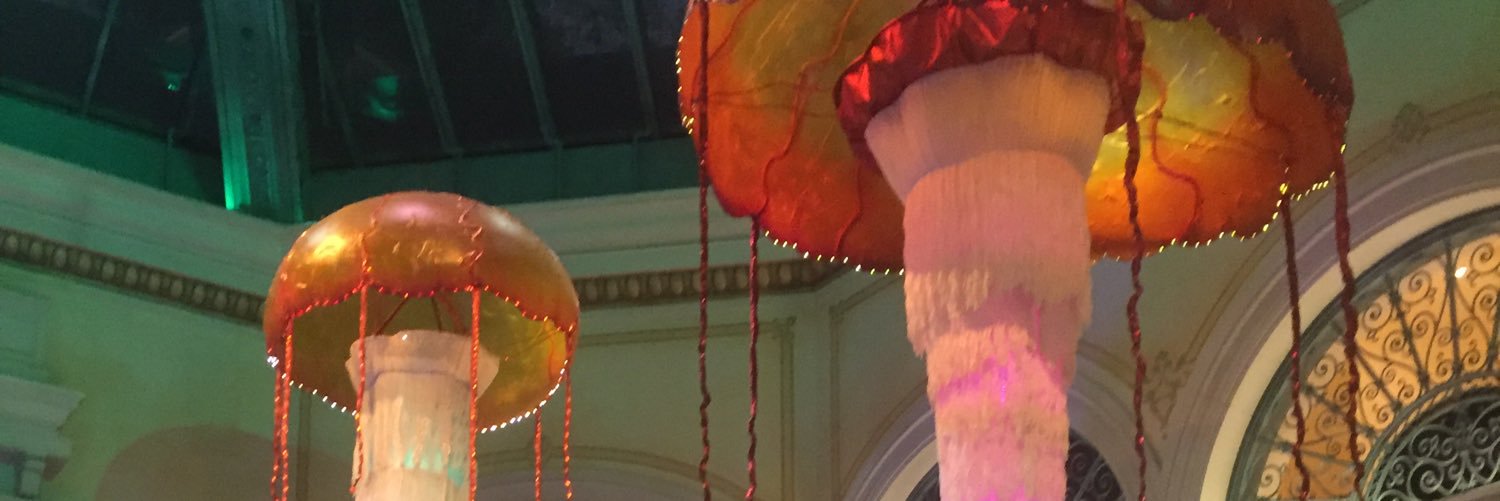 wking0210's profile banner image
