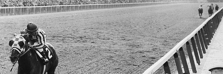 Locally Hated 🏴‍☠️ banner