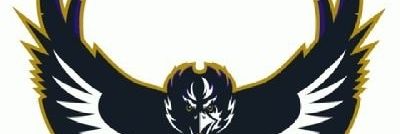 RavenDog294846's profile banner image