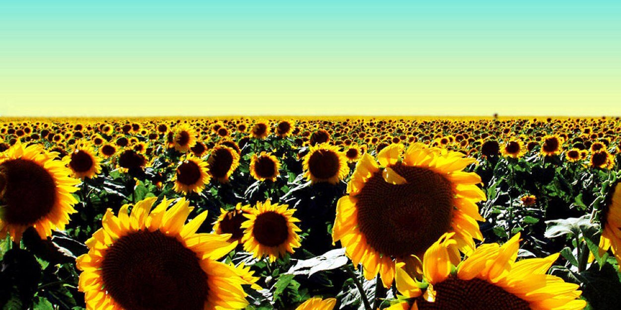 Millymillycoco's profile banner image