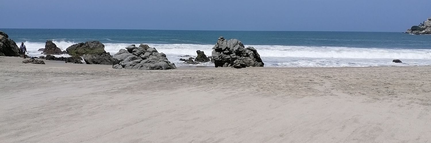 janemixcoac's profile banner image