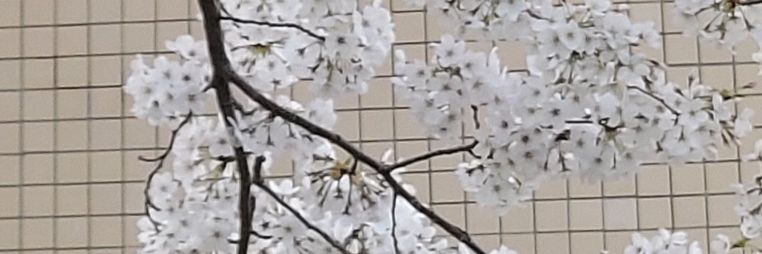 hhmsa770307's profile banner image