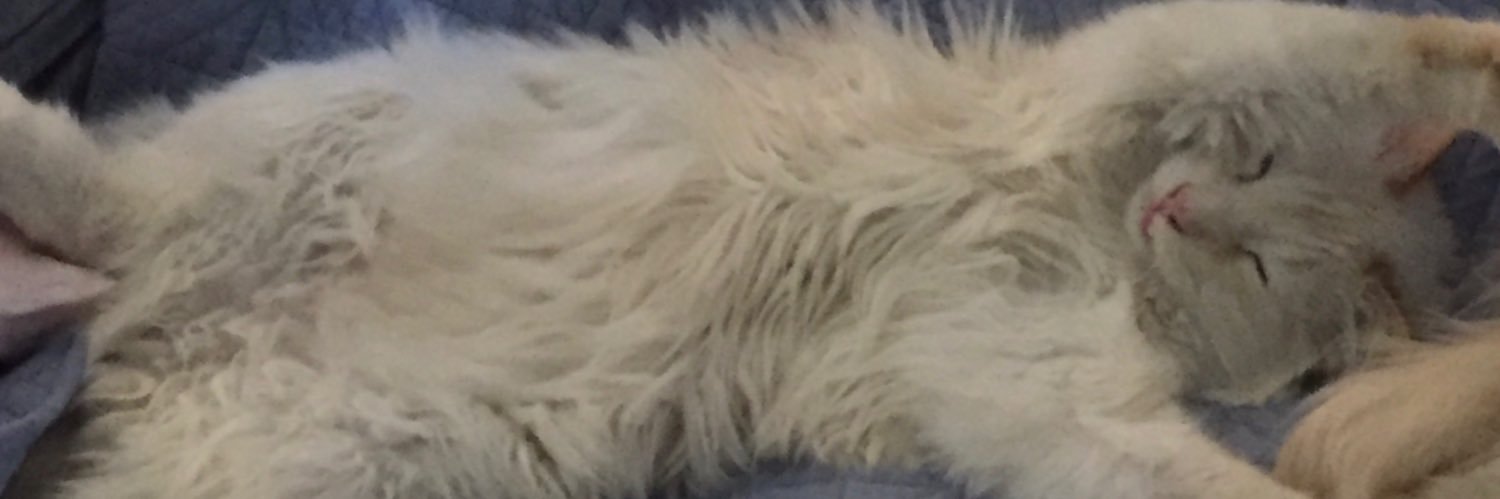 LibbyCat13's profile banner image