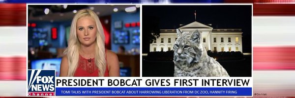 ComfortablySmug Profile Banner