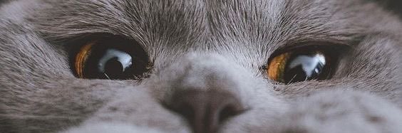 vlackyy's profile banner image