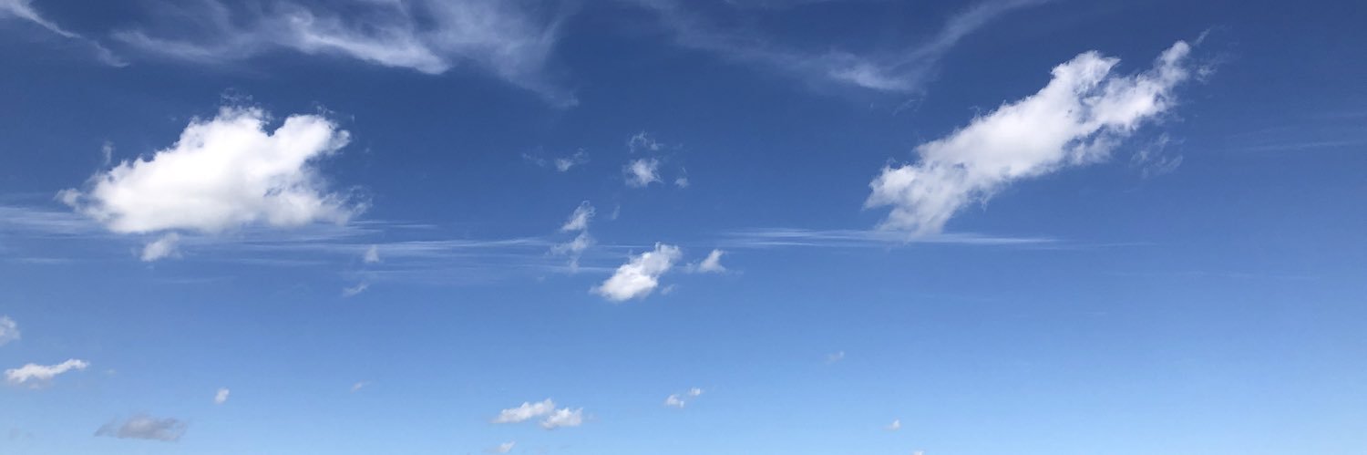 izzy_fizzard's profile banner image