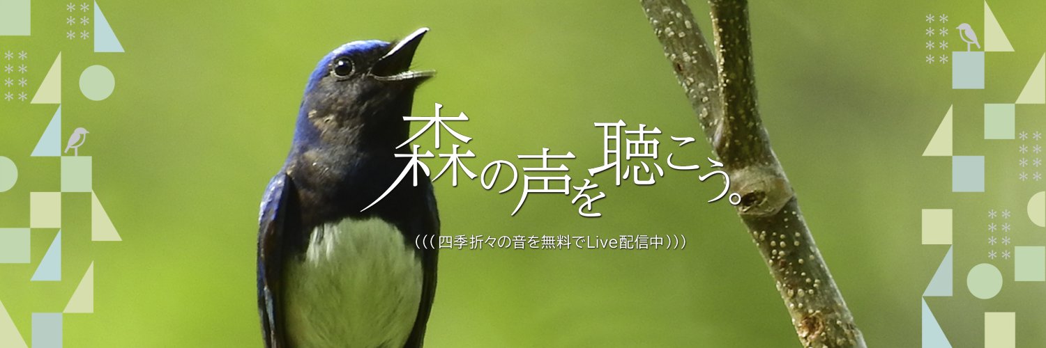 forestnotes_tw's profile banner image