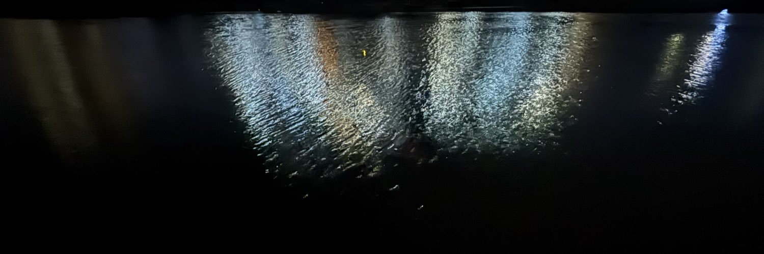 L551551's profile banner image