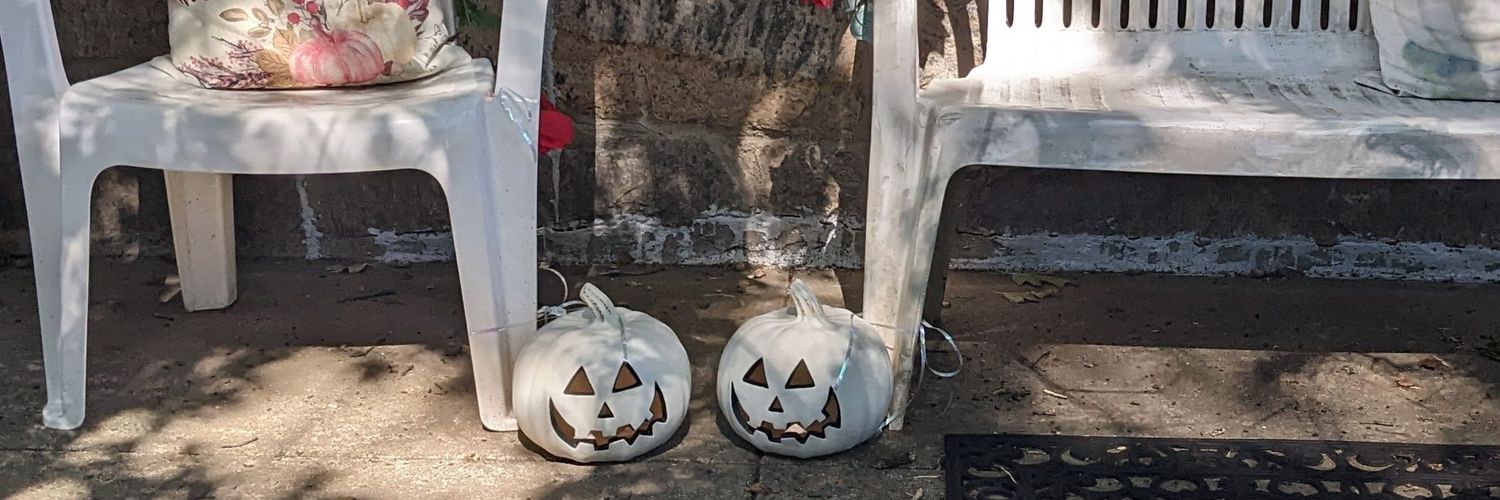 Jeannine Shields banner