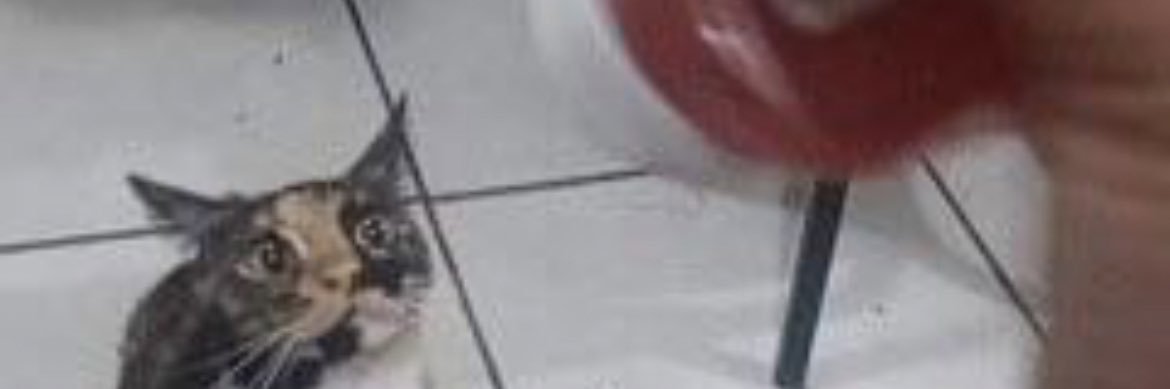idk a good user banner
