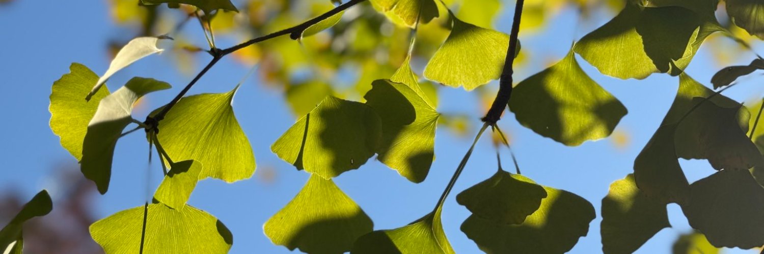 chelshoward's profile banner image