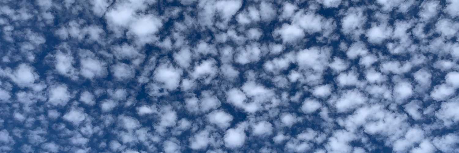 len_len51's profile banner image