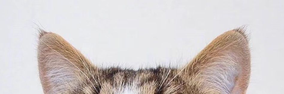 纯棉时代（觅香） banner