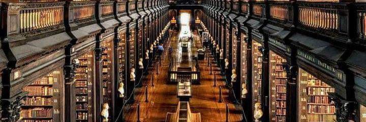 Professor Onceagain 🇺🇦 🟧 🇵🇸 banner