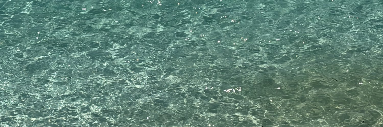SofiCostarelli's profile banner image