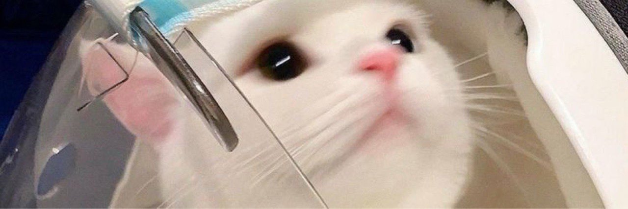 muricyflueterno's profile banner image