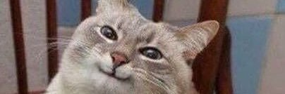 🇦🇹 GlockHaver banner