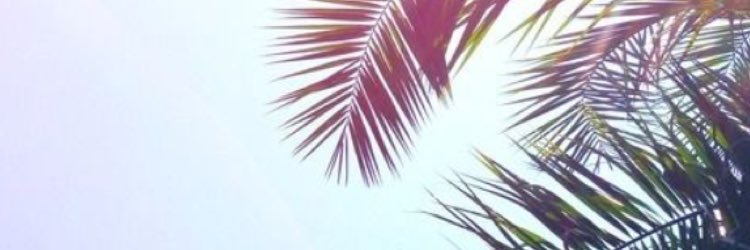 astigmatica's profile banner image