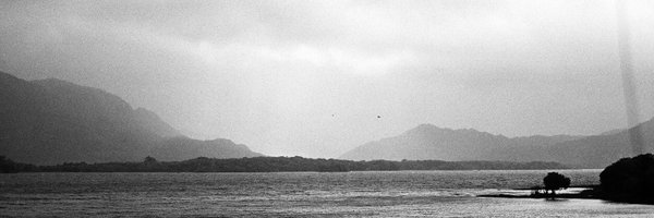 chriswaldt Profile Banner