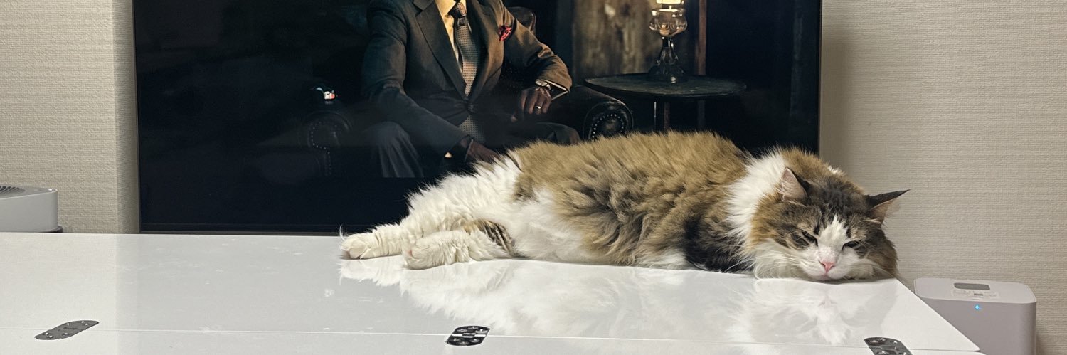 harapeko217's profile banner image