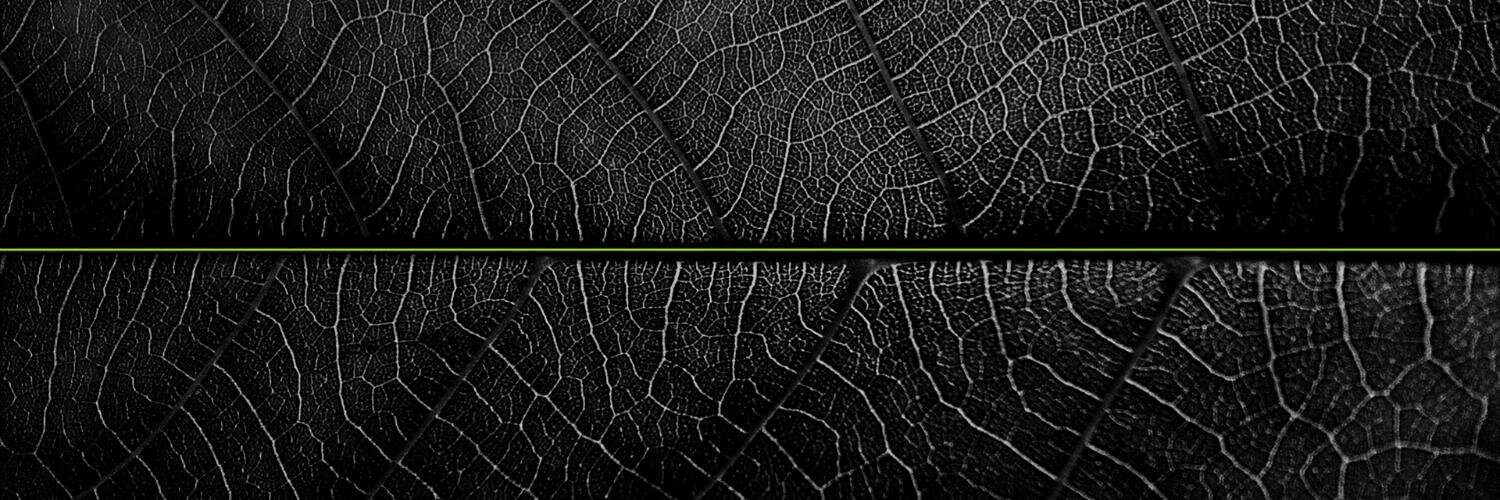 projectGRAPHIC's profile banner image