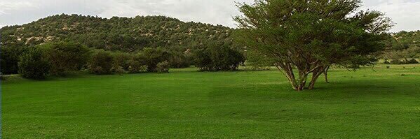 wasel_07's profile banner image