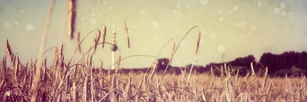 YuHengHere Profile Banner