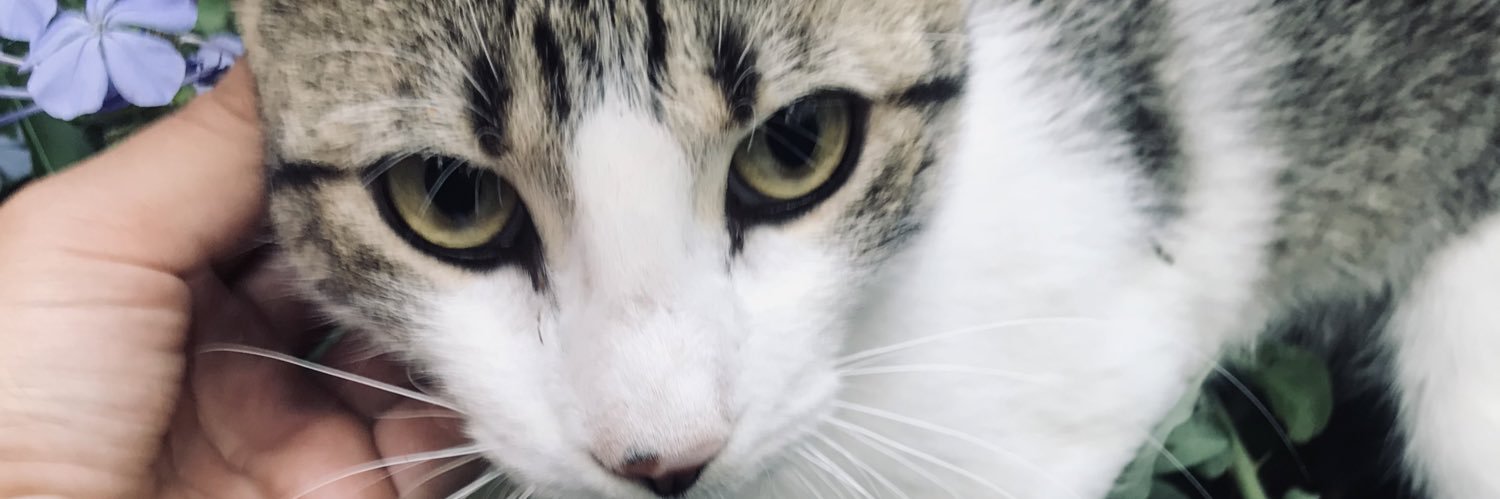 MeliMartin2's profile banner image