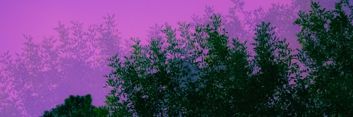 chreesdmn's profile banner image