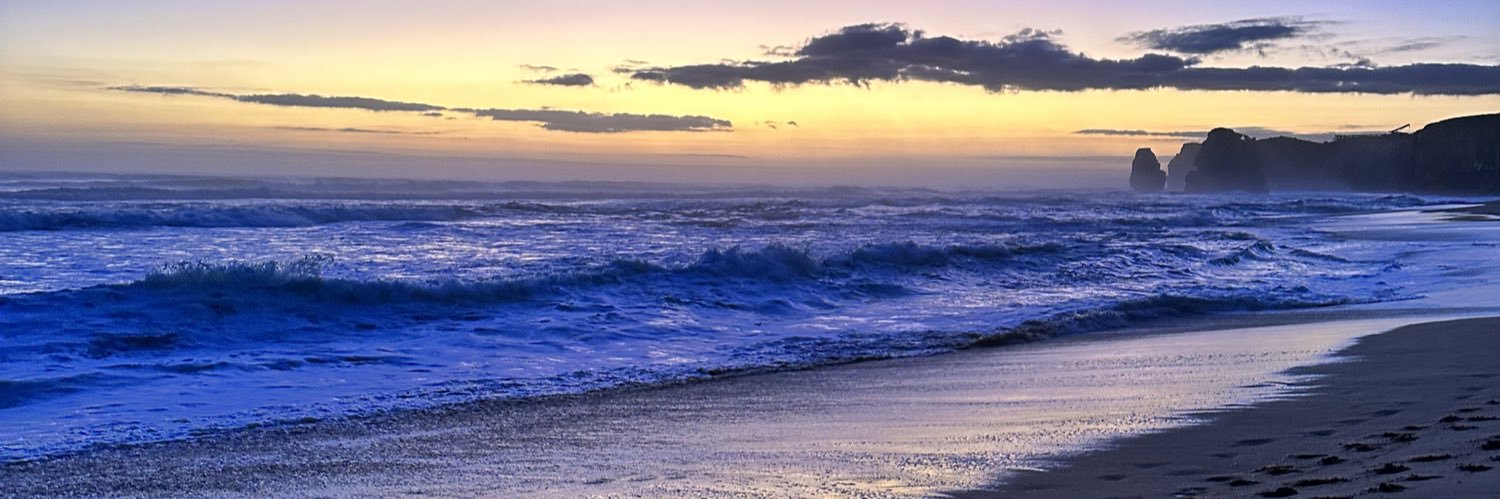 Stephanie MacFadyen banner