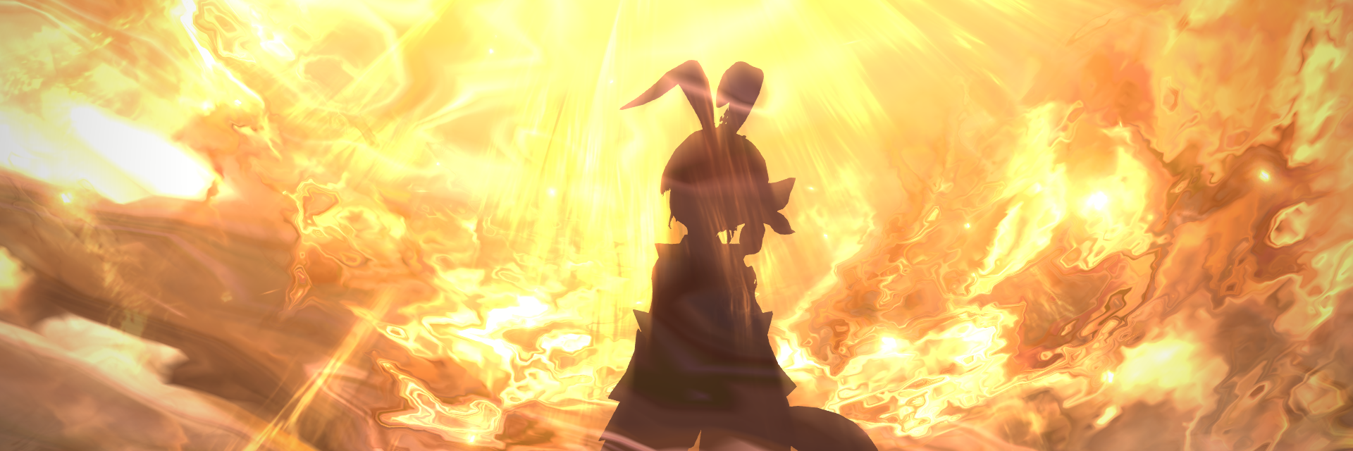 Liz__ch2's profile banner image