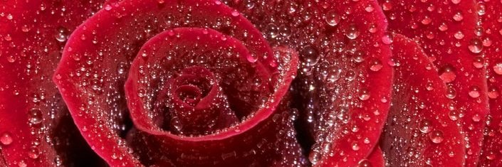 Anwar313 Awan banner