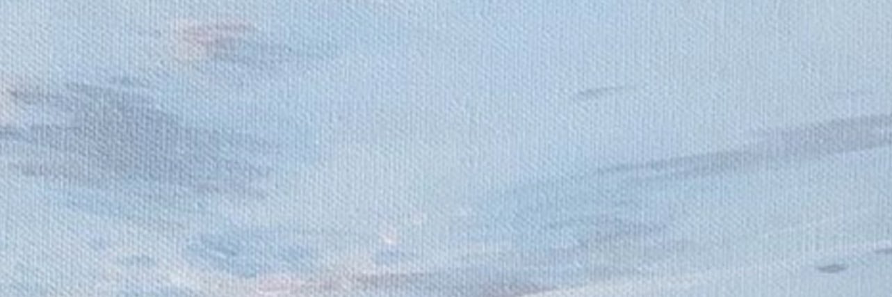 Naru banner