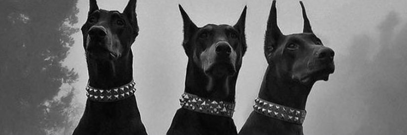 P_Rallo's profile banner image